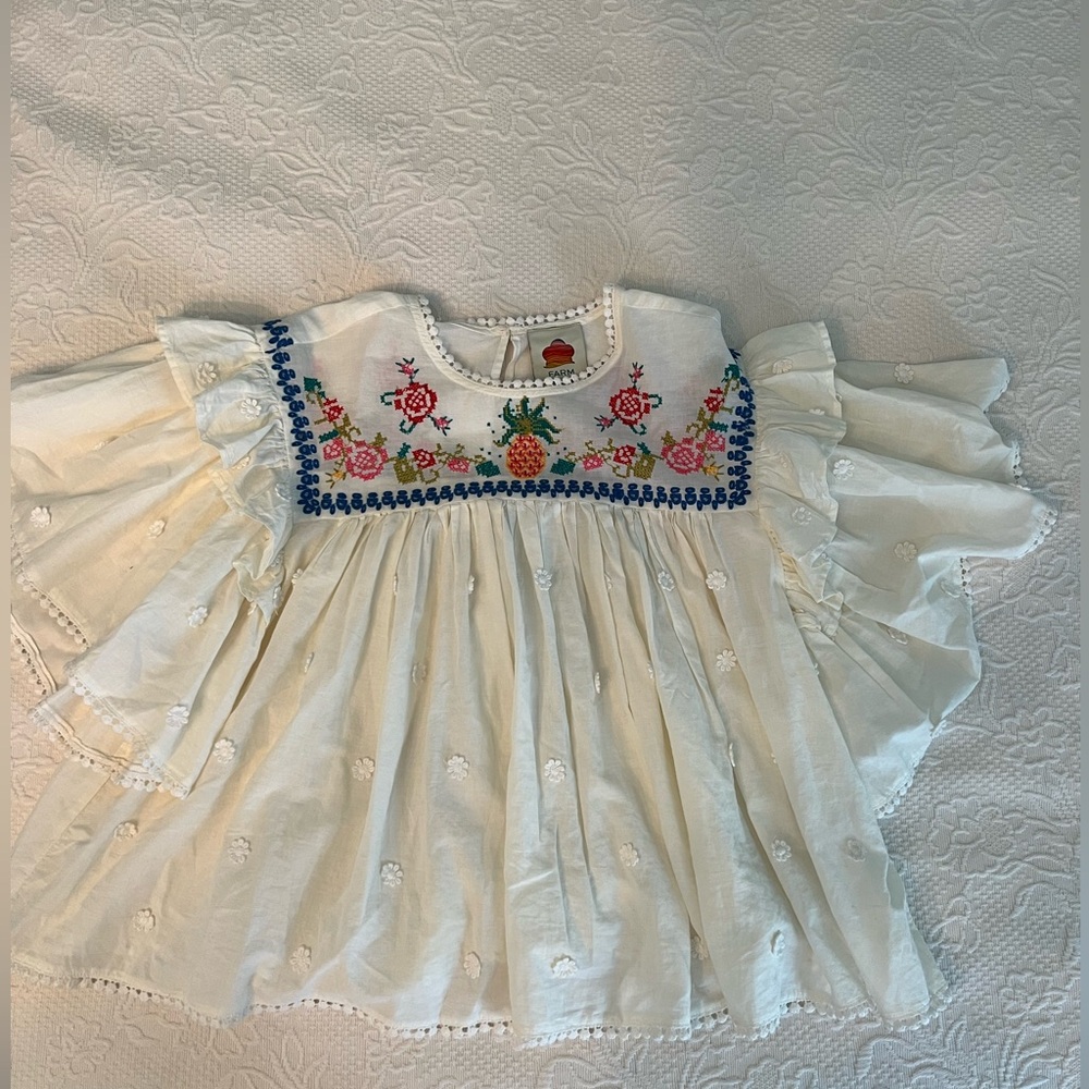 Farm Rio Cross Stitch Embroidered Ruffled Blouse